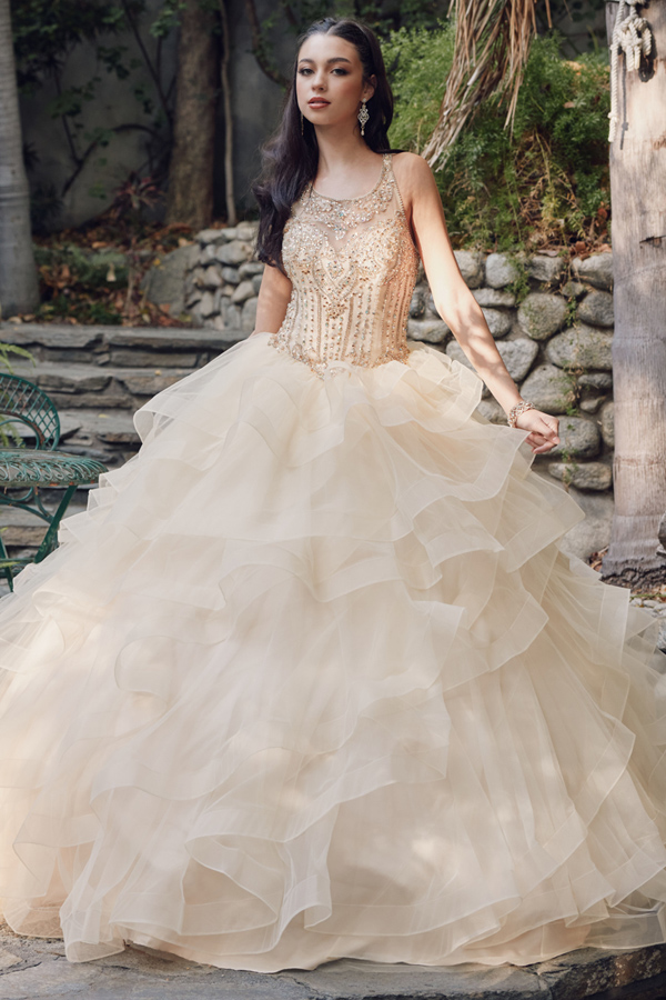 Embellished Top Ruffled Train Tulle Skirt Dress